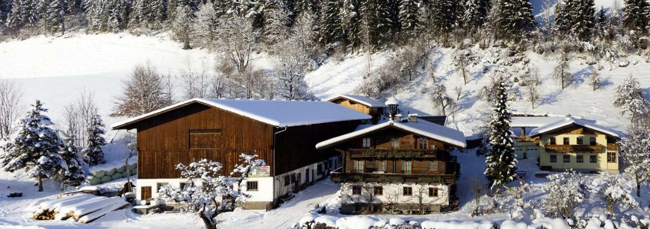 Grubhof Weissenbacher Altenmarkt im Pongau Kültér fotó